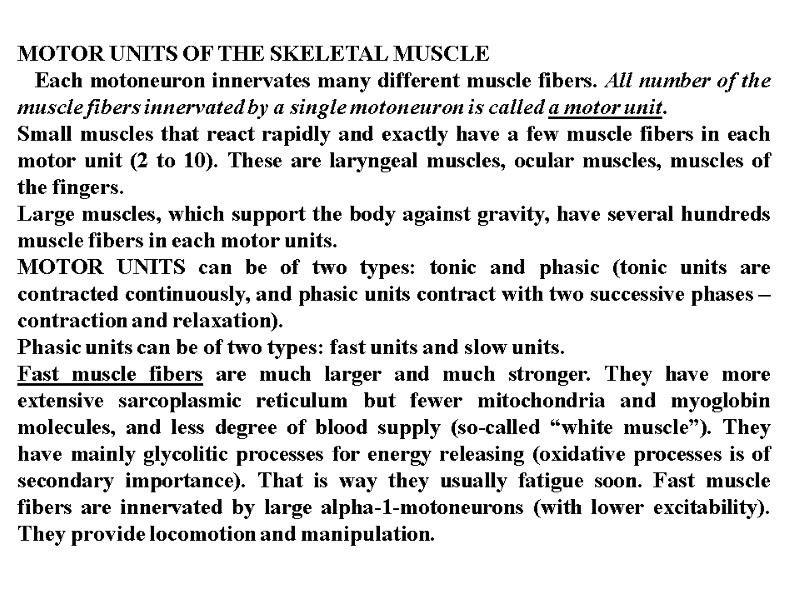 MOTOR UNITS OF THE SKELETAL MUSCLE    Each motoneuron innervates many different